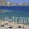 Hotel Senia_best deals_Hotel_Cyclades Islands_Paros_Paros Chora