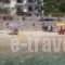 Dolphins House_best deals_Hotel_Aegean Islands_Thasos_Thasos Chora