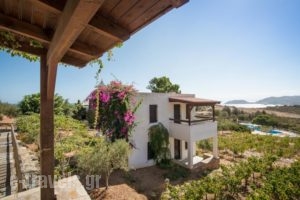 Ambelos_lowest prices_in_Hotel_Crete_Heraklion_Ammoudara