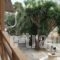 Circe Pansion_holidays_in_Hotel_Ionian Islands_Kefalonia_Kefalonia'st Areas