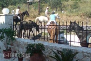 Lazaratos Hotel_best prices_in_Hotel_Ionian Islands_Kefalonia_Kefalonia'st Areas