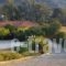 Countryside Studios_travel_packages_in_Ionian Islands_Kefalonia_Kefalonia'st Areas