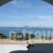 Orkos Blue Coast_holidays_in_Hotel_Cyclades Islands_Paros_Alyki