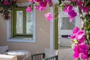 Aelia By Eltheon_travel_packages_in_Cyclades Islands_Sandorini_Imerovigli