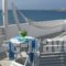 Alexandra'S Rooms_holidays_in_Room_Cyclades Islands_Paros_Paros Chora
