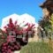 RockyMansion_lowest prices_in_Hotel_Cyclades Islands_Mykonos_Mykonos Chora