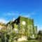 Villa Fleria Seaside Studios & Apts_holidays_in_Villa_Crete_Chania_Kissamos