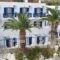 Adonis Hotel_best prices_in_Hotel_Cyclades Islands_Naxos_Agia Anna
