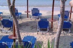 Piatsa Michalis_lowest prices_in_Hotel_Aegean Islands_Thasos_Potos