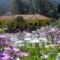 Countryside Studios_accommodation_in_Hotel_Ionian Islands_Kefalonia_Kefalonia'st Areas