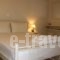 Anemos Studios_lowest prices_in_Hotel_Cyclades Islands_Naxos_Naxos chora