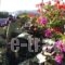 Casa Anna_lowest prices_in_Hotel_Cyclades Islands_Mykonos_Mykonos ora