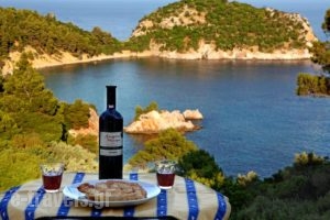 Mando Beachfront_travel_packages_in_Sporades Islands_Skopelos_Skopelos Chora