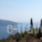 Villa Agapi Mou_lowest prices_in_Villa_Ionian Islands_Kefalonia_Vlachata