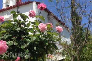 Saint Louis_travel_packages_in_Cyclades Islands_Andros_Andros City