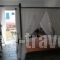 Adonis Hotel Studios & Apartments_holidays_in_Apartment_Cyclades Islands_Paros_Paros Chora