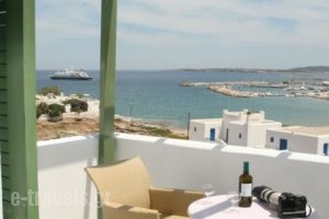 Adonis Hotel Studios & Apartments_lowest prices_in_Apartment_Cyclades Islands_Paros_Paros Chora