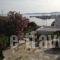 Adonis Hotel Studios & Apartments_accommodation_in_Apartment_Cyclades Islands_Paros_Paros Chora