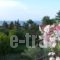 Kastoria Hotel Apartment_travel_packages_in_Macedonia_Halkidiki_Haniotis - Chaniotis