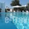Lilly's Island_accommodation_in_Hotel_Cyclades Islands_Antiparos_Antiparos Chora