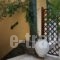 Tousis_lowest prices_in_Hotel_Epirus_Preveza_Parga