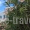 Olympia_best deals_Hotel_Cyclades Islands_Mykonos_Mykonos Chora
