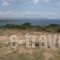 Paros Traditional Houses_best prices_in_Hotel_Cyclades Islands_Paros_Paros Chora