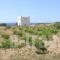 Paros Traditional Houses_lowest prices_in_Hotel_Cyclades Islands_Paros_Paros Chora