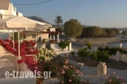Studios Irene in Paros Chora, Paros, Cyclades Islands