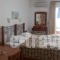 Studios Gabriel_accommodation_in_Hotel_Cyclades Islands_Naxos_Agia Anna
