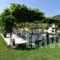 House Elena_best deals_Hotel_Aegean Islands_Thasos_Thasos Chora