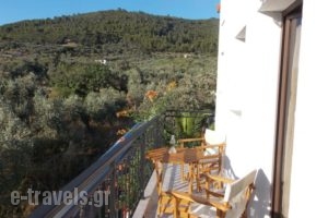 Pleiades Studios And Maisonettes_travel_packages_in_Sporades Islands_Skopelos_Skopelos Chora
