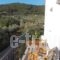 Pleiades Studios And Maisonettes_travel_packages_in_Sporades Islands_Skopelos_Skopelos Chora