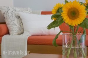 Agnanti_lowest prices_in_Hotel_Ionian Islands_Kefalonia_Kefalonia'st Areas