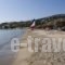 Camping Koula_travel_packages_in_Cyclades Islands_Paros_Paros Chora