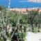 Pension Neapolis_travel_packages_in_Aegean Islands_Samos_Samos Rest Areas