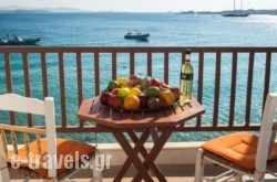 Petalides Apartments in Paros Chora, Paros, Cyclades Islands