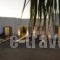 Queen Boutique Suites_holidays_in_Hotel_Cyclades Islands_Mykonos_Mykonos ora