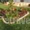 Maritsa's Rooms_best prices_in_Room_Macedonia_Thessaloniki_Thessaloniki City
