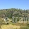 Alekos Rooms And Apartments_lowest prices_in_Room_Aegean Islands_Samos_Samosst Areas