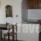 Villa Apostolis Studios_best prices_in_Villa_Sporades Islands_Skopelos_Skopelos Chora