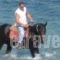 Villa Apostolis Studios_lowest prices_in_Villa_Sporades Islands_Skopelos_Skopelos Chora