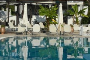Ampelia Studios_travel_packages_in_Macedonia_Halkidiki_Haniotis - Chaniotis