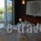 Ampelia Studios_holidays_in_Hotel_Macedonia_Halkidiki_Haniotis - Chaniotis