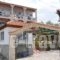 Studios Anny Family Hotel_travel_packages_in_Aegean Islands_Thasos_Thasos Chora