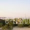 Swiss Home Hotel_best prices_in_Hotel_Cyclades Islands_Paros_Paros Chora