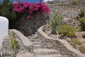 Mykonos Senses_holidays_in_Hotel_Cyclades Islands_Mykonos_Mykonos Chora