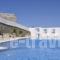 Belogna Ikons_travel_packages_in_Cyclades Islands_Naxos_Naxos chora