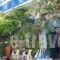 Hotel Elizabeth_accommodation_in_Hotel_Cyclades Islands_Naxos_Naxos Chora