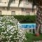 Argo Apartments_best prices_in_Apartment_Crete_Chania_Galatas